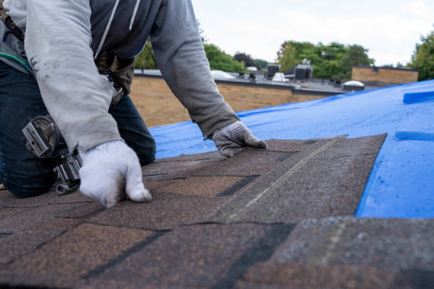 Best Roof Restoration Services  in Girard, IL